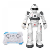 Inteligentn Robot s idlem Andowl Q-L003