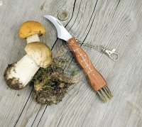 Nůž se štětečkem na houby